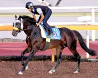  ڻڵǰۡɤڤ뤴ȤɤʤäƤޤץꥨ˭ܻؤ