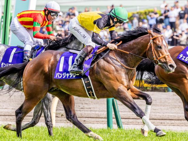 重賞昇格以来初の3歳牡馬によるキーンランドC制覇へ NHKマイルC覇者パンジャタワーが挑む