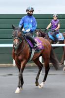  ڥC13Хޥ벦ѥ󥸥㥿ϥѥե˲®رġֽϤݤäƤޤ