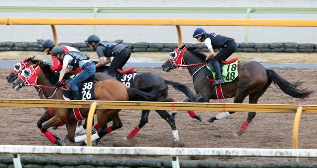 【POG】矢作厩舎のコントレイル産駒スウィッチインラヴが今週デビュー　祖母が米G1・2勝の1・7億円馬