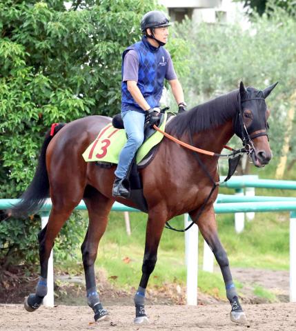 【POG】母がG1馬の良血ルージュアリスタが日曜の新潟4Rで初陣　宮田調教師「走ってきそうな雰囲気」