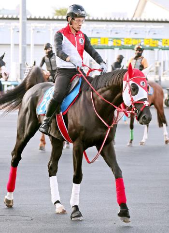 【札幌記念】データで急浮上するリビアングラス　5年連続勝利中の前走G1組+洋芝強いキズナ産駒