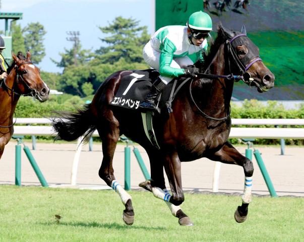 【新潟6R・中郷特別】エストゥペンダが性能の違いを見せる上がり32秒4の豪脚で2勝目　紫苑Sも視野