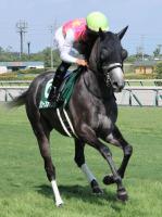  �������ǰ�۾夬���®����33��3�Υ��塼�󥪥��3�塡��¼��Ƿ������������˾��֤��ɤ��ä���