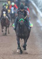  ں춥ϡJpn3ޡԥ9.4ȯȯɽڥ顼辰ʤ12Ƭ