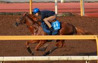  �ӥ������ɥ꡼�ࡡ������ե���ޡ�������ޤϥޡ��ե����ȤΥ���ӷ���