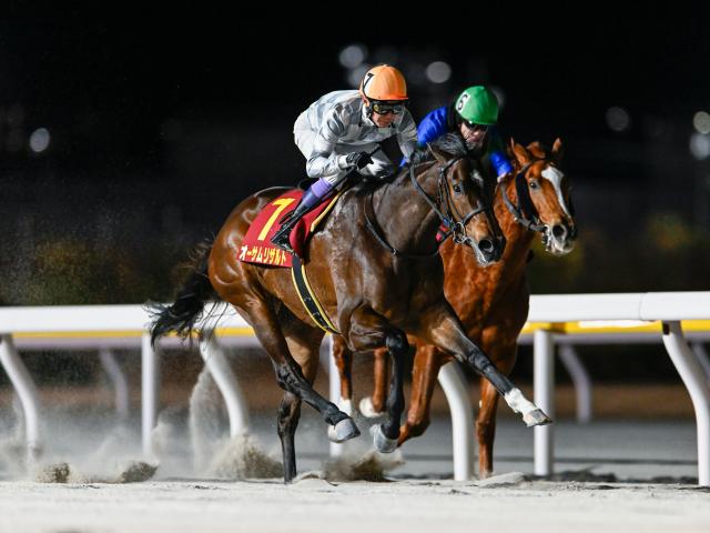【門別・ブリーダーズGC枠順】通算9戦8勝のオーサムリザルトは3枠3番