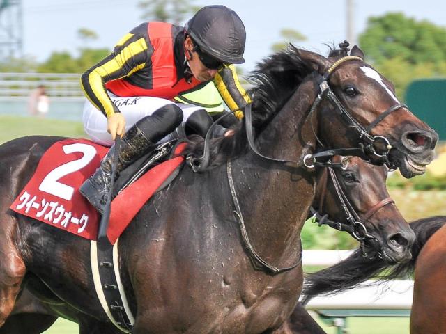 【新潟記念】金鯱賞覇者のクイーンズウォーク 同期最多タイのJRA重賞4勝目なるか