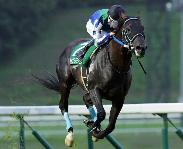 岩手競馬予想ライブ】トウケイニセイ記念2024を生予想！/森咲