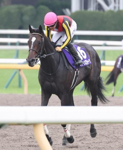 【新潟記念】重賞3勝実力馬クイーンズウォーク　初の新潟も主役