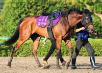  �ڿ��㵭ǰ�����Ĥ������ϡۥ֥쥤�ǥ����������ΰ��ĵ�ǰ���餱�ƶ������٥��Ȥ����Υ�ʤ�������¸�ߤ�