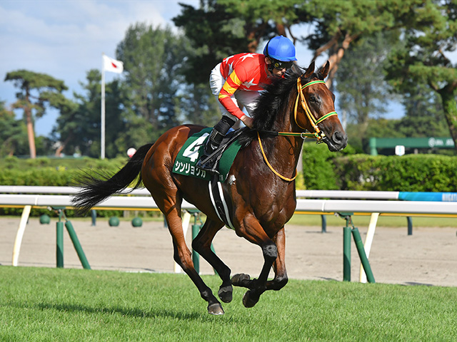 【新潟記念】シンリョクカがレース史上2頭目の連覇にチャレンジ