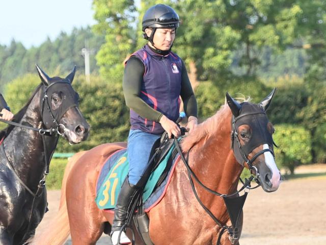【新馬戦】グランマエストロいざ参る　名マイラー・グランアレグリア初子　母の主戦ルメールとコンビで
