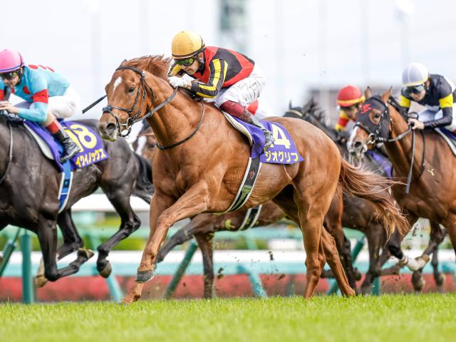 22年皐月賞覇者ジオグリフが抹消 今後は優駿SSで種牡馬入りの予定