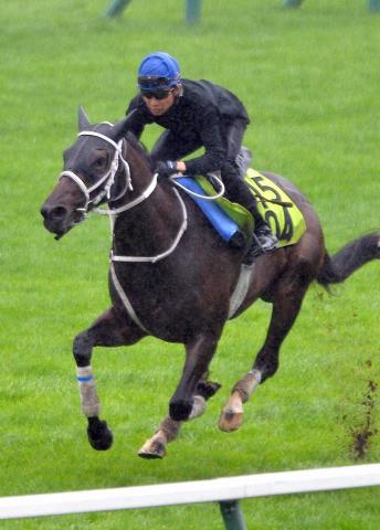 競馬・雑誌・ナリタブライアン・ビワハヤヒデ Amazon.co.jp: ウマ娘 スペシャルポスター ナリタブライアン