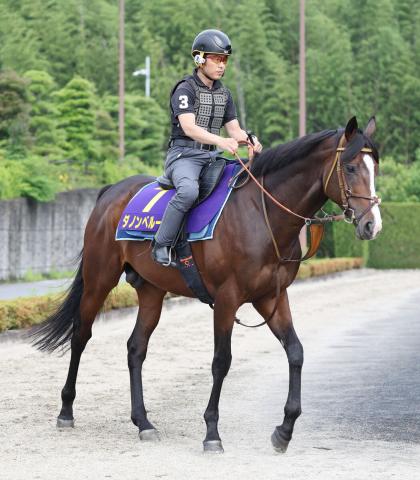 【新潟記念】ダノンベルーガが滞在中の新潟で追い切り　堀調教師「左回り2000メートルはベストで平坦も合う」