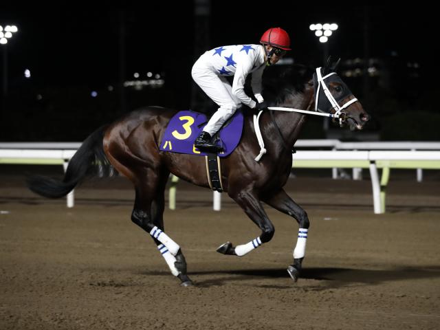 【今日の注目ポイント】名古屋城Sと新潟でグランアレグリアの初仔がデビュー