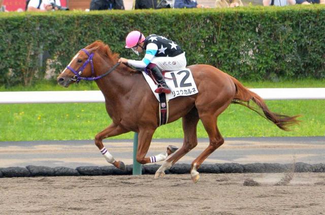 【札幌5R・2歳新馬】リュウカルネデビューV　横山武「完勝だった」