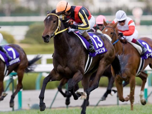 阪神ジュベナイルフィリーズ2023結果情報】アスコリピチェーノが