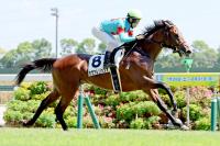  6R2пϡۥåĥͤȴ5ϿȺV¼ͧ쵳֤󥸥äƤ