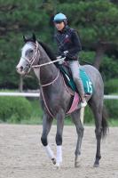  �����2��S�ۥ����ǥ����ɡ����������ǥ��������˥��򤫤路����Ƭ�ǥ����� �������쥳���ɹ���