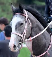  �����2��S�ۥ����ǥ����ɤ�2�Х������쥳���ɤǽ��岦�ԡ������ӡ�����å�������¼ͧ�쵳�꤬Ƴ��