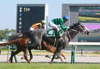  ��������Уӡۣ��ֿ͵������ǥ����ɤ�̵���Σ�Ϣ���ǥ쥳���ɣ֡���¼ͧ�֤�äȳڤˤ��碌�뤫�ʤȡ�