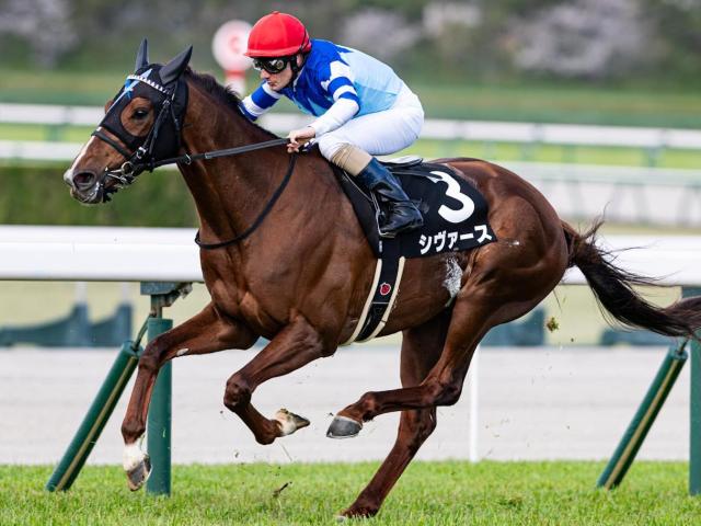 【京成杯AH】「大魔神」佐々木主浩オーナーのシヴァース 今度こそ重賞初制覇なるか