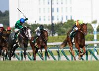  �����2��S�ۥ����ǥ����ɡ����������ǵ�ž���ƽž޽�V���������쥳����&JRA�쥳���ɹ���