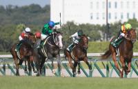  ��������Уӡۥ����ǥ����ɤ����岦�Ԥˡ����Х쥳���ɣ�ʬ�����ã��ǣ֡��乥Ĵ��¼ͧ�ֽ�ʬ����������ä���