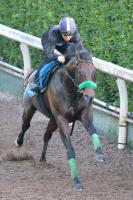  ڥޡԥ۽ž2Υڥ顼辰22֡ץ3Υ硼55֡Ƚ