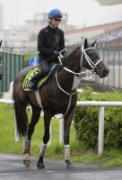  �ڻ���2��S�ۥ��ޡ��ȥץꥨ���롡���Ϥ�����!��˭�־��䤹���׹�������Ʊ������ݱ��ˤ���Ͻž�4��