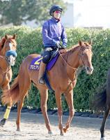  ��������ư����ʩG2���������ҥ��ꥤ�γ������ĩ�郎���ꡡ������Ĵ���ա���������פ�����