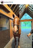  ɤ֥٥ФİפΥե˥ե󴿴ź쵳꤬Ʋ񥷥å