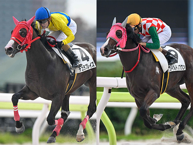 大井でノブワイルド＆エンパイアペガサスの産駒初勝利 ともに現役時代は地方競馬で活躍