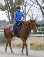  ���衼��ɥ�ʥξޤ������������ҥ��ꥤ�ϼ��������ޤ����³����᡼��ȤΥ���Ӥǻ���