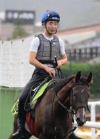  ڻ2S2ǯܶž޽鵳V!ݥڥåȤĩ֤ϤȰĹǤС