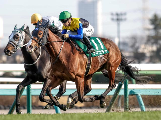 【8/15迄】ロードカナロア スプリンターズS 記念ジャージ 龍王 XL 競馬 013_131-300x200.jpeg