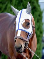  �ڥ����ɥ�ۡ��������ǥ������2025�ۺǽ���̤�ȯɽ���ᥤ���祦���Х롢�������ե��������ƥ�ϥåԡ�����������Τ̤�����ߤ�