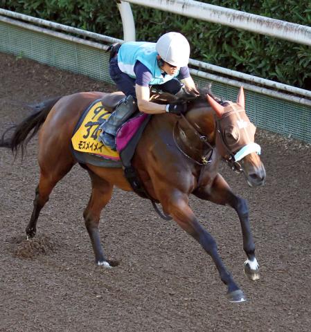 【セントウルS】モズメイメイは夏3戦目でも元気いっぱい　前川調教師「この馬の力は出せる」