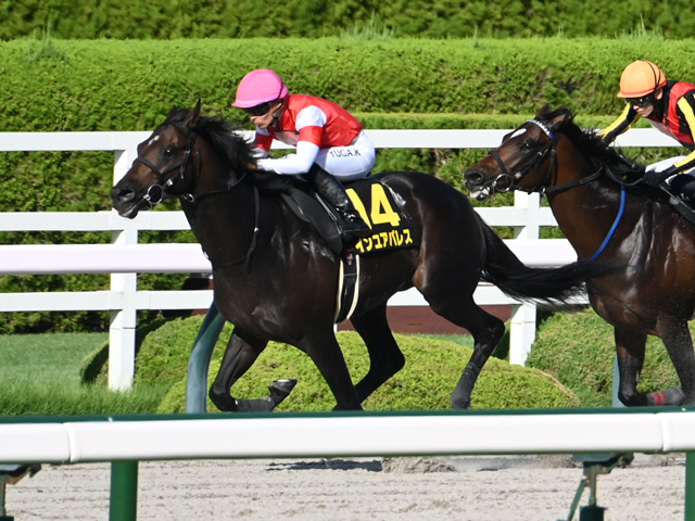 【エニフS結果】インユアパレスが突き抜け完勝 オープン初勝利