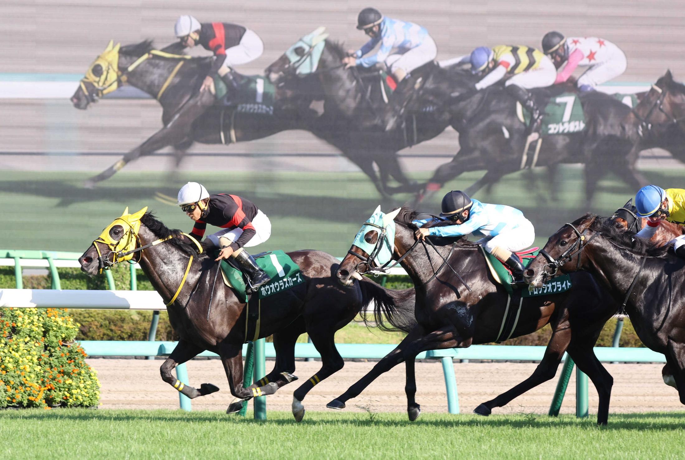 【京成杯ＡＨ】ホウオウラスカーズ　３連単９３万円超！波乱を呼んだ　狭い内をスルリと重賞初制覇