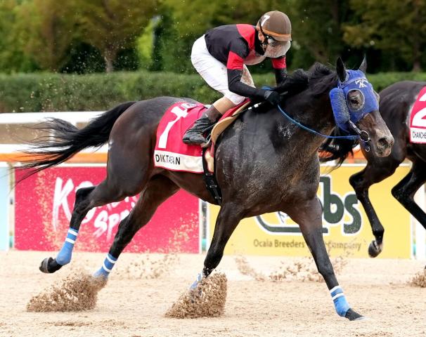 【コリアカップ】日本勢が3連覇　大井のディクテオンが差し切り海外重賞初勝利　力入った荒山勝師は「テーブルを叩きすぎた(笑)」