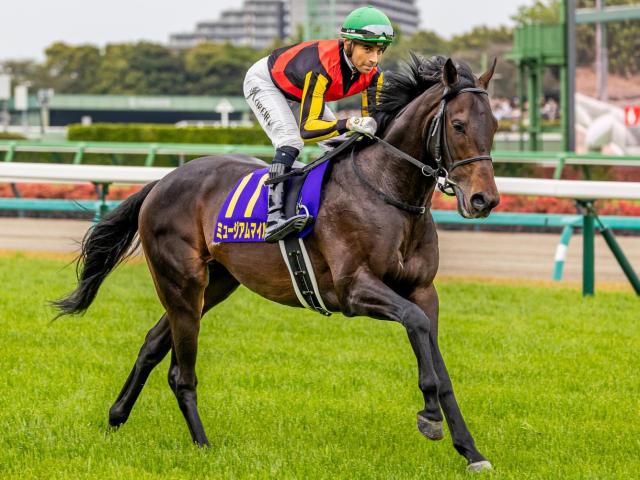 朝日杯フューチュリティステークス 2023結果情報】ジャンタル