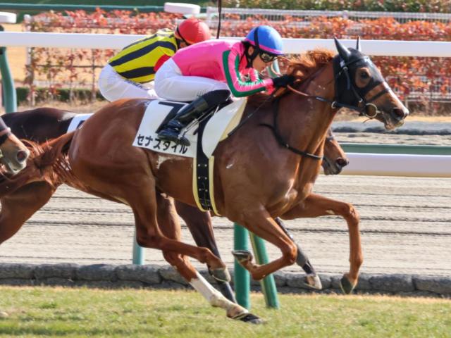 ローズSの勝ち馬は血統から探せ？ 歴代覇者の華麗な背景に注目