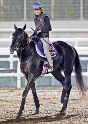 プランスドランジュ賞2025】日本ダービー馬クロワデュノールが