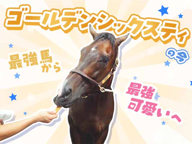 香港最強馬ゴールデンシックスティの“最強可愛い”最新映像を公開！