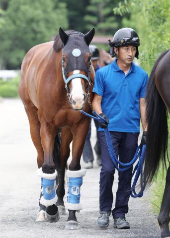 【注目馬動向】セントウルS2着のママコチャは引き続き岩田望来騎手とのコンビでスプリンターズSへ