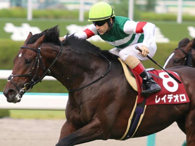 【カズパパ】イクイノックス 出資会員限定優勝記念品 ジャパンカップ2023 カズパパ様専用】イクイノックス 出資会員限定優勝記念品