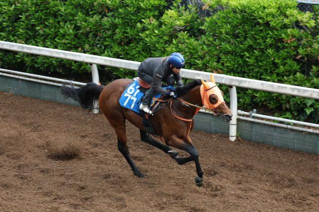 ジャパンカップ 2023結果情報】イクイノックスが破竹のGI・6連勝